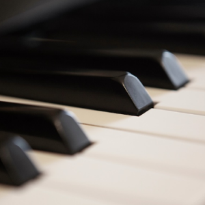 Practical Harmony 1